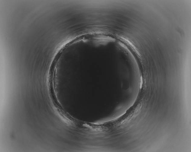 X0000115760439200911131159