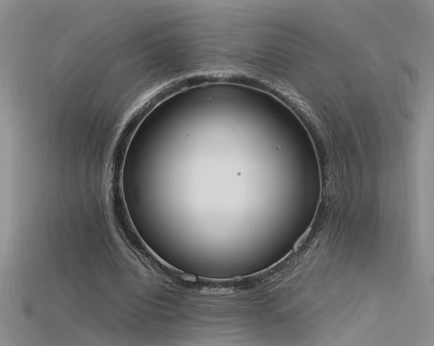 X0000115760440200911131159
