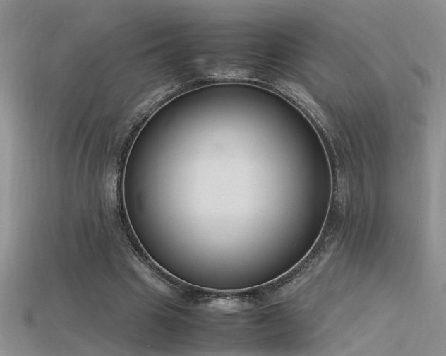 X0000115760441200911131159