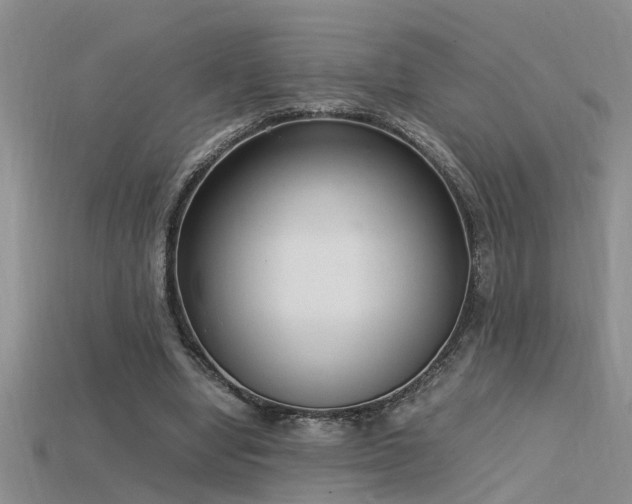 X0000115760442200911131159