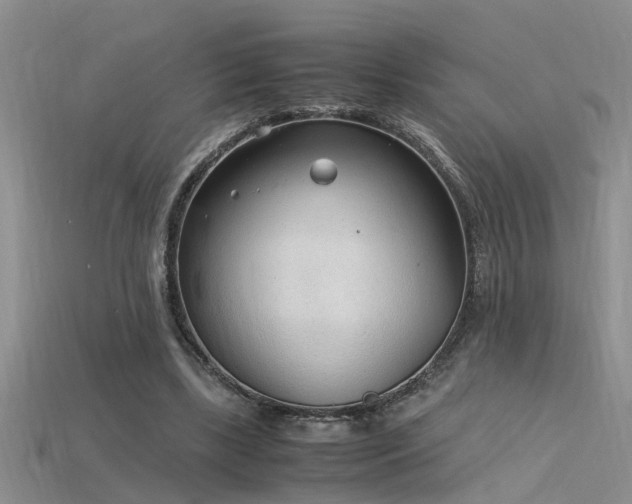 X0000115760443200911131159