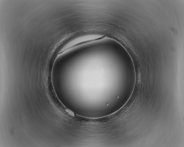 X0000115760444200911131159