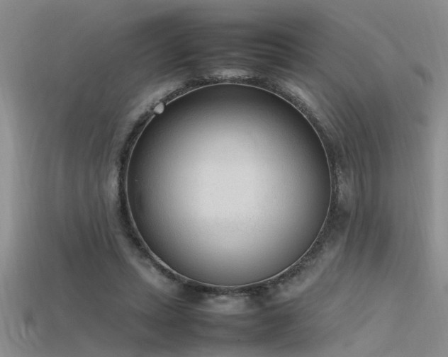X0000115760447200911131159