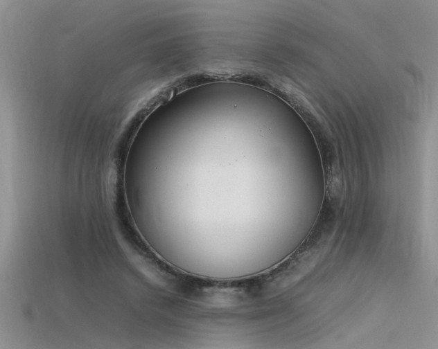 X0000115760448200911131159