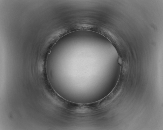 X0000115760451200911131159