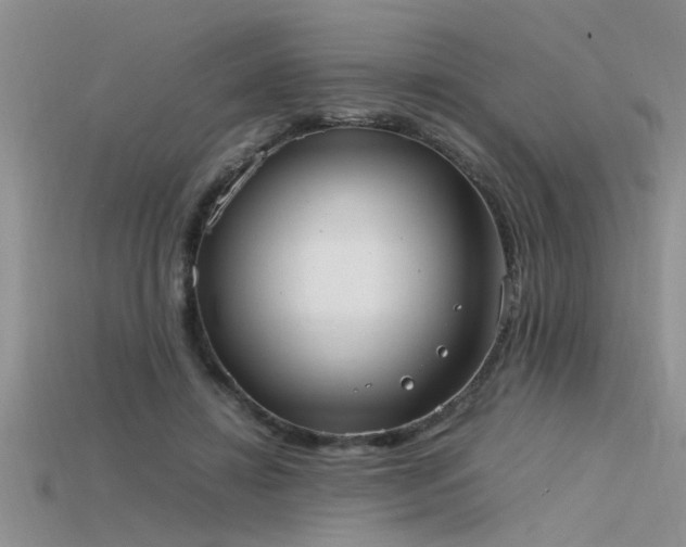 X0000115760452200911131159