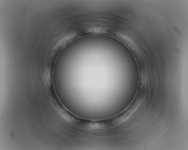 X0000115760453200911131159