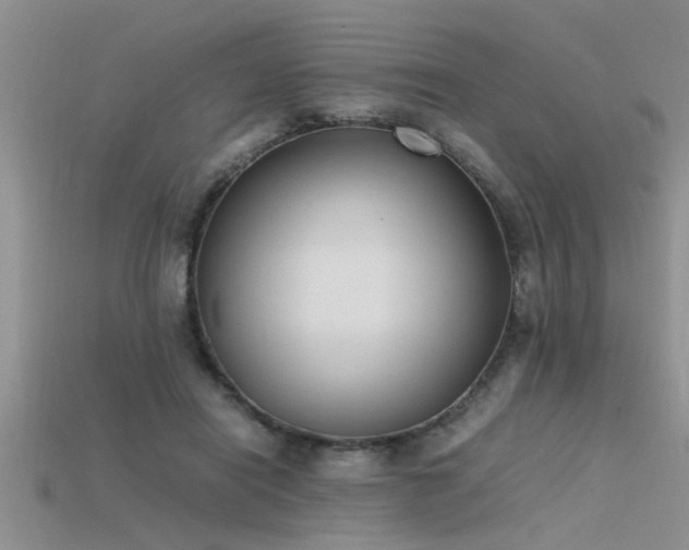 X0000115760454200911131159