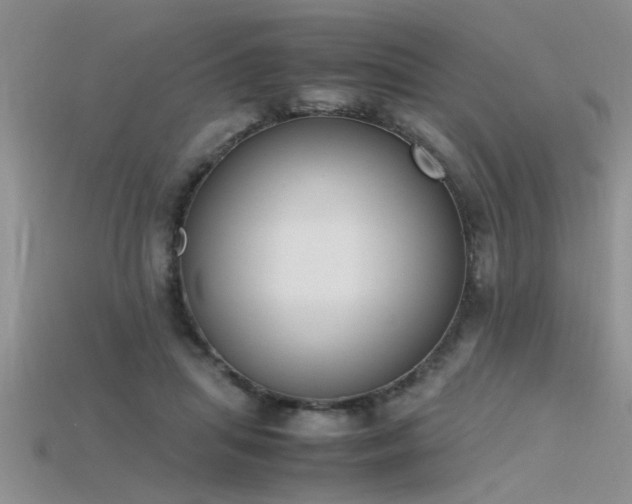 X0000115760455200911131159