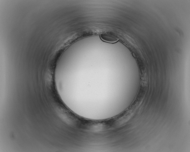 X0000115760456200911131159