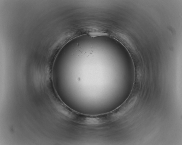 X0000115760457200911131159