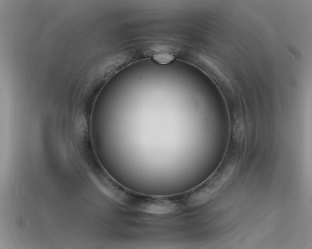 X0000115760459200911131159