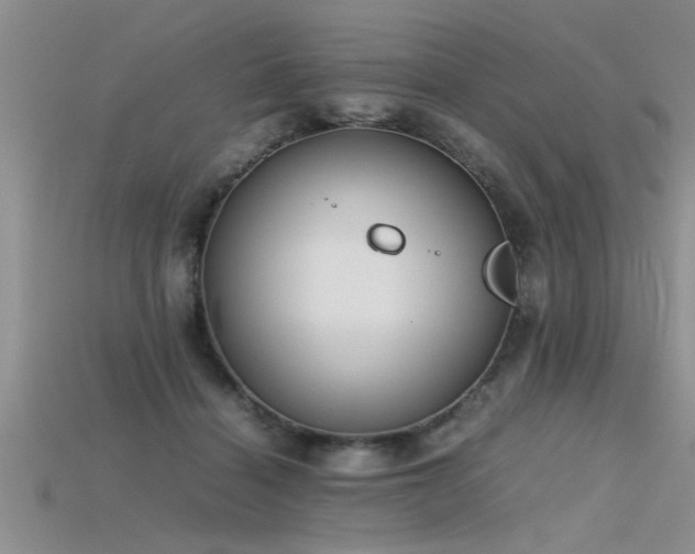 X0000115760460200911131159
