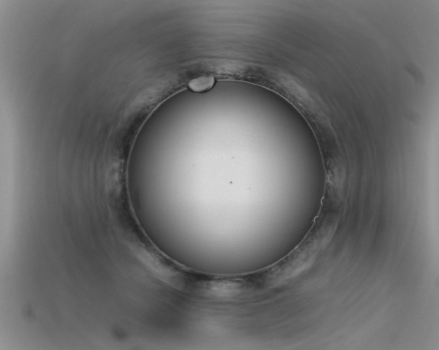 X0000115760462200911131159