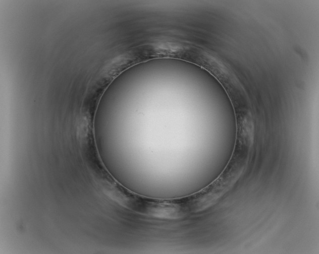 X0000115760463200911131159