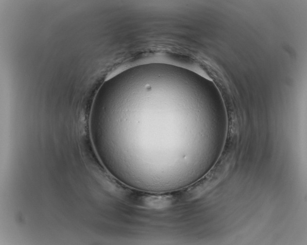 X0000115760465200911131159