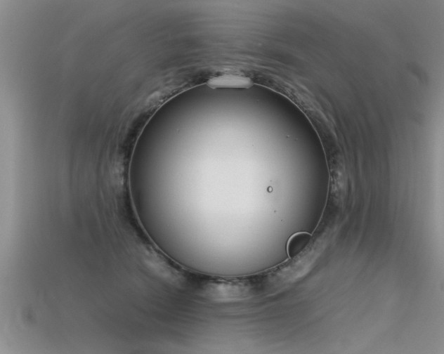 X0000115760466200911131159
