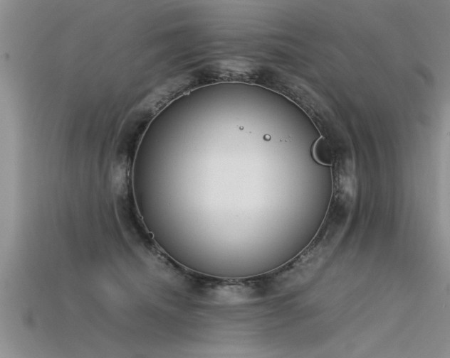 X0000115760468200911131159