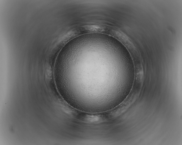 X0000115760469200911131159