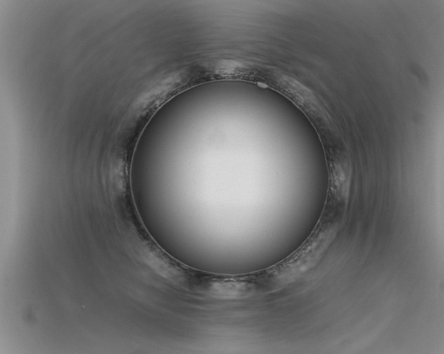 X0000115760470200911131159