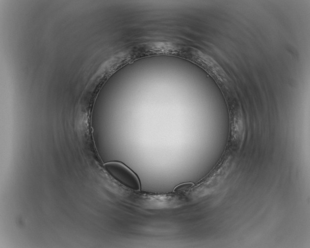 X0000115760473200911131159