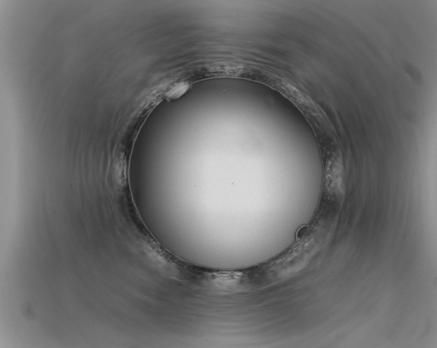 X0000115760474200911131159