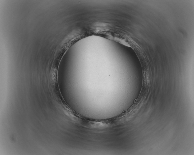 X0000115760475200911131159