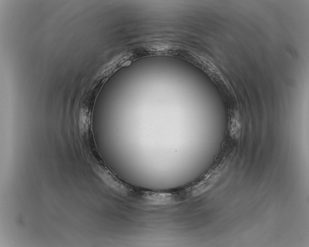 X0000115760476200911131159