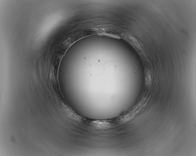 X0000115760477200911131159