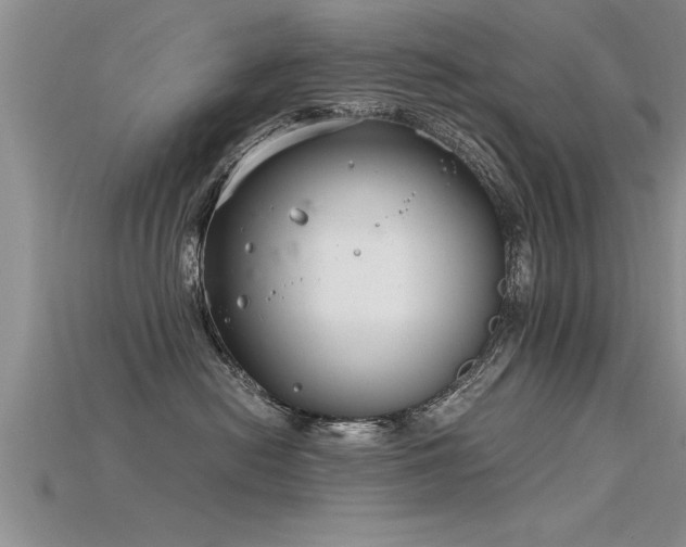 X0000115760478200911131159