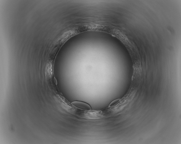 X0000115760479200911131159