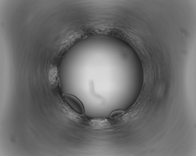 X0000115760480200911131159