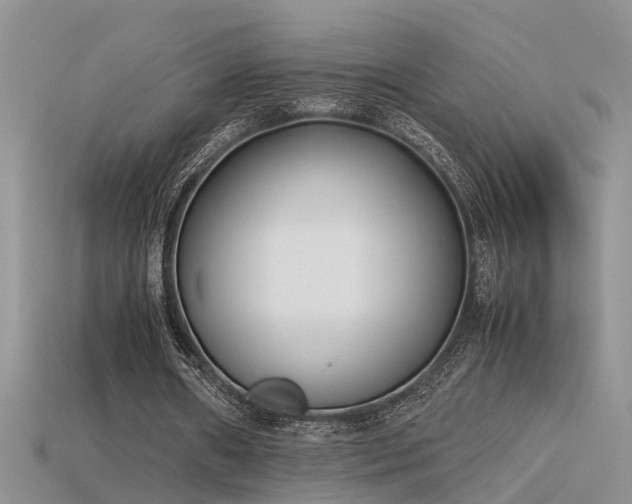 X0000115760482200911131159