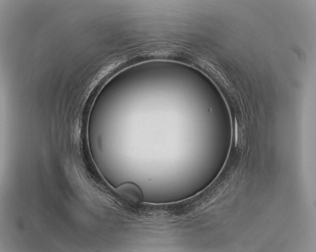 X0000115760483200911131159