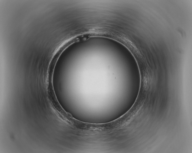 X0000115760484200911131159