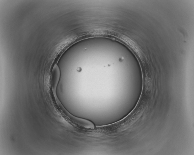 X0000115760485200911131159