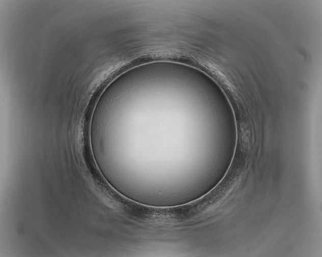 X0000115760487200911131159