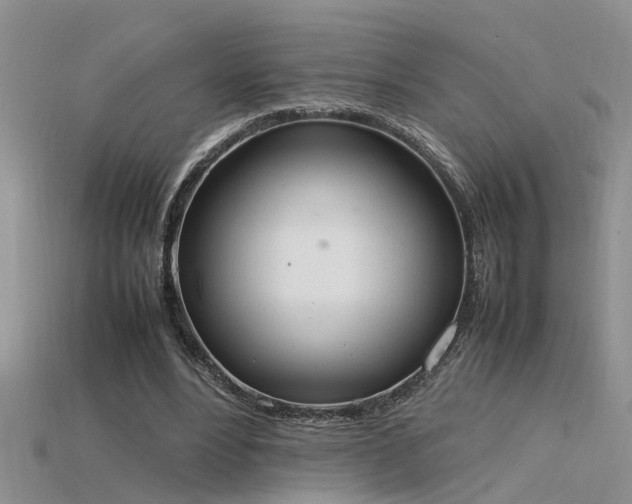 X0000115760488200911131159