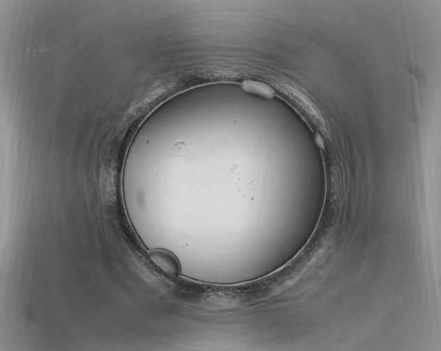 X0000115760489200911131159