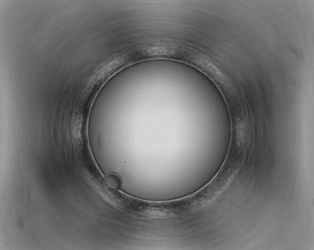 X0000115760490200911131159