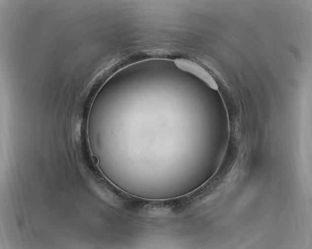 X0000115760491200911131158