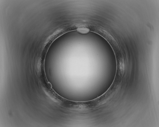 X0000115760492200911131158