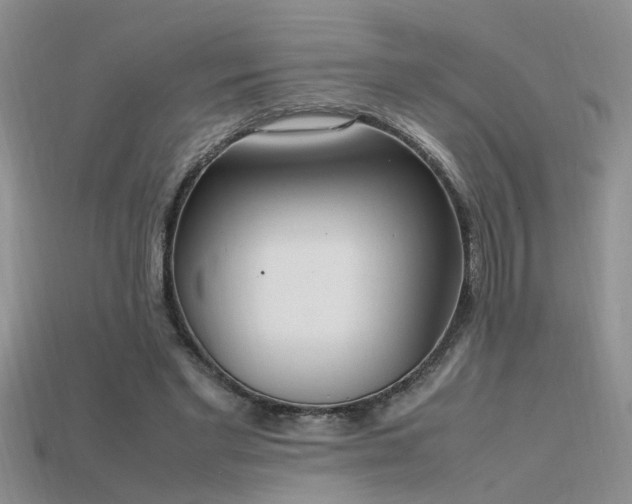 X0000115760493200911131158