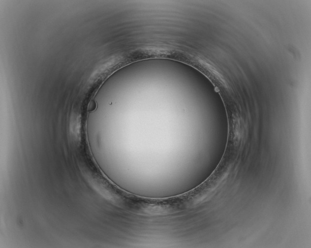 X0000115760494200911131158