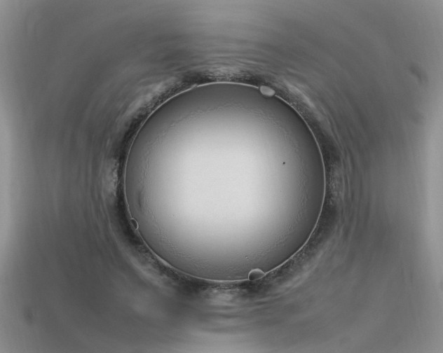 X0000115760495200911131158
