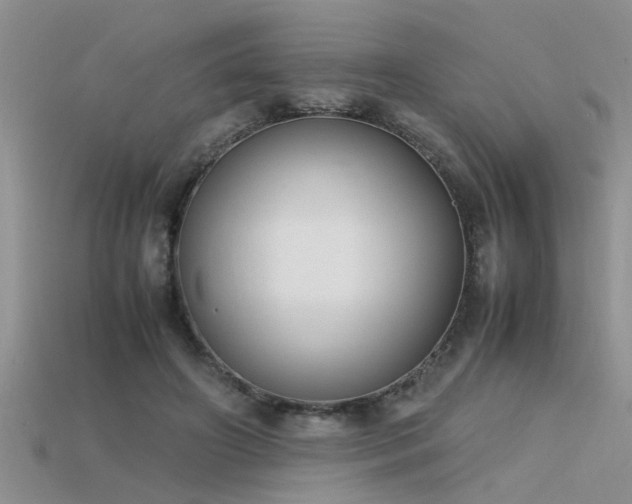 X0000115760498200911131158