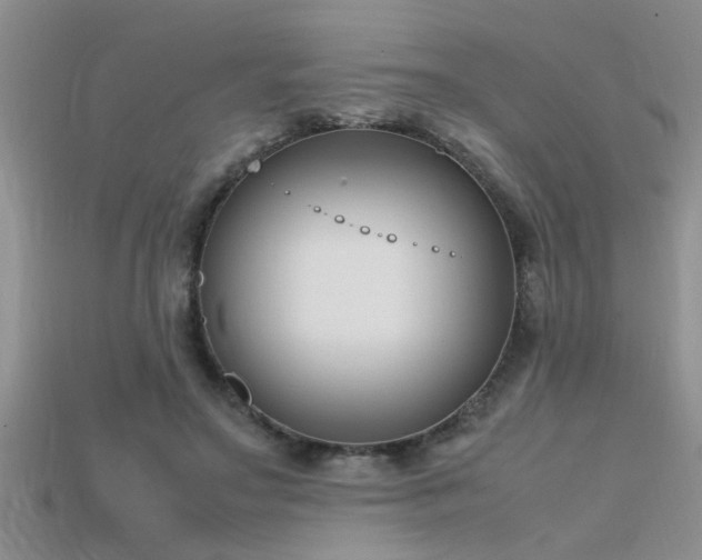 X0000115760499200911131158