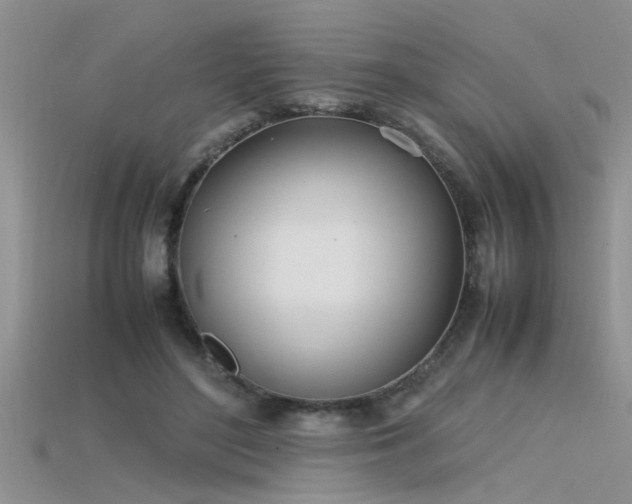 X0000115760500200911131158