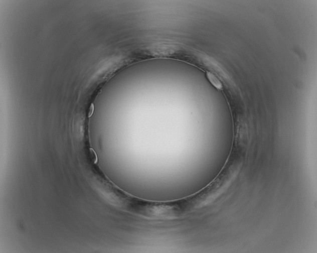 X0000115760501200911131158