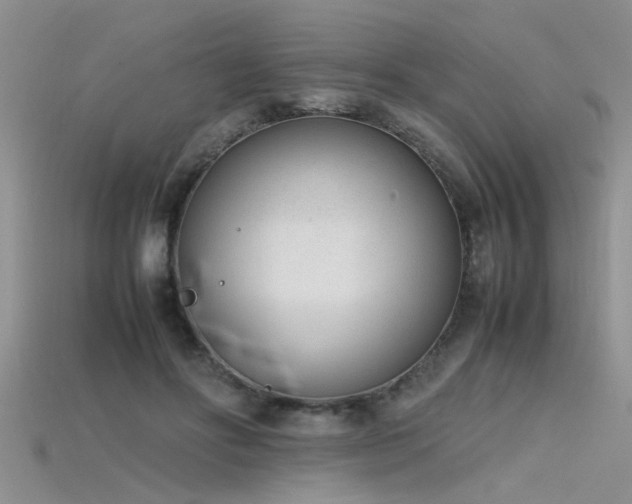 X0000115760502200911131158